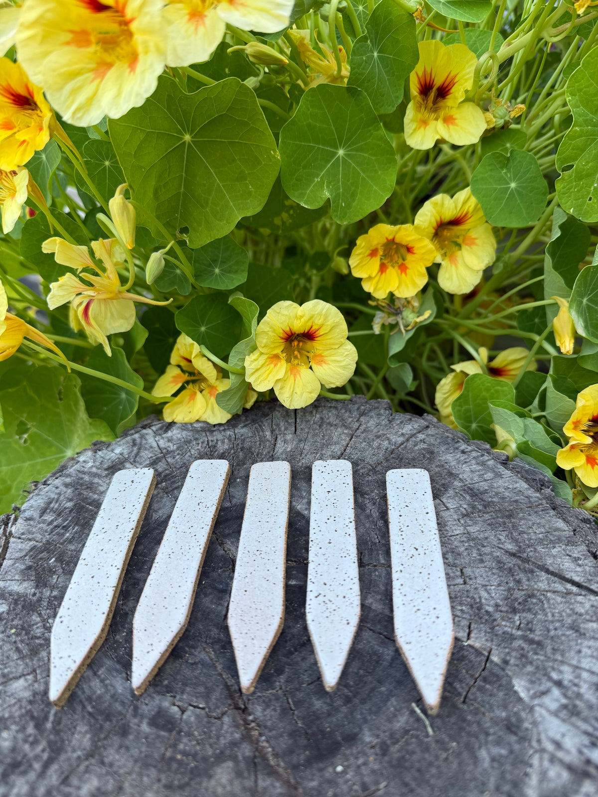 Speckled Garden Markers
